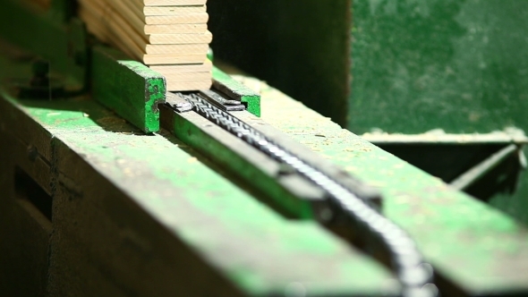 Worker On Saw With Special Cut Prepare Wood Detail