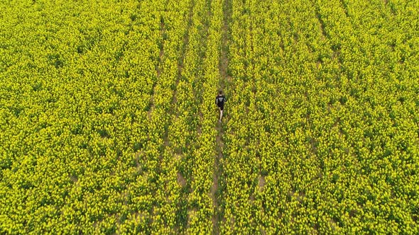 Runner Runs in Rapeseed Field