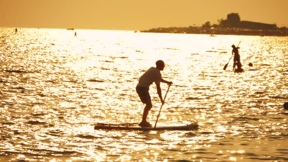 Silhouette of Male Person on Sup Paddle Board on Tropical Ocean with Sunset