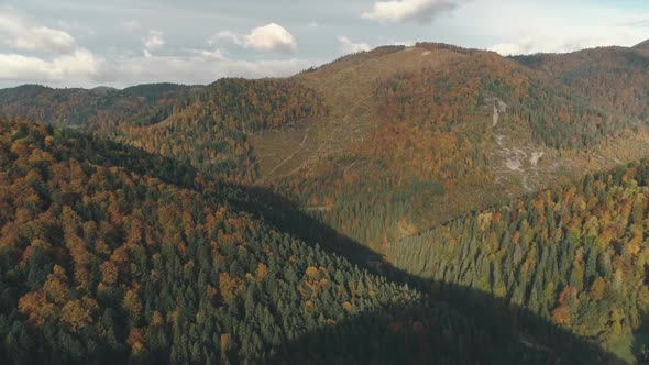 Green and Brown Dense Forests Cover Hills in Autumn