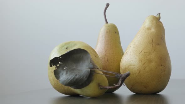 Small group of tasty pears slow tilt 4K 2160p UltraHD footage - Yellow fruit from genus Pyrus  3840X