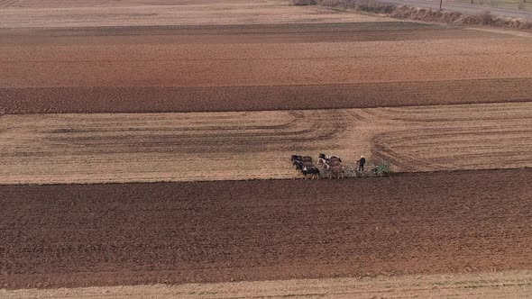 View of Amish Farm Worker Turning the Field in Early Spring as Seen by a Drone