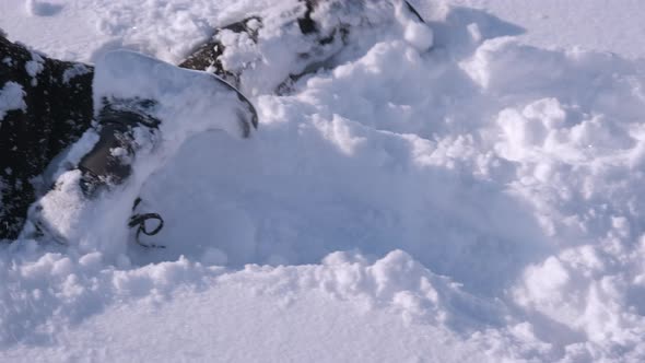 Happy Child in the Snow