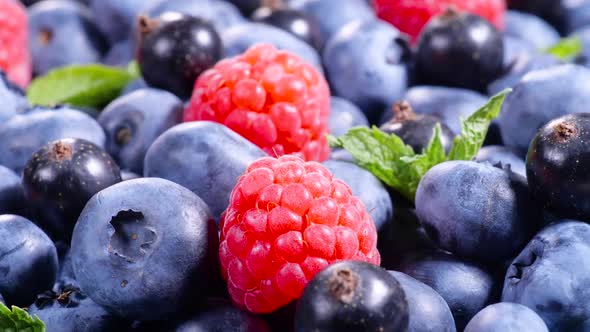 Berries Various Colorful Background Juicy Ripe Summer Berries