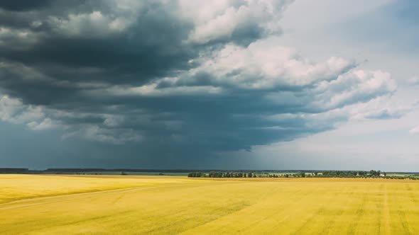 Drone Lapse Hyperlapse Motion Aerial View Of Agricultural Landscape With Young Wheat Field In Summer