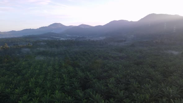 Aerial view morning fog cloud