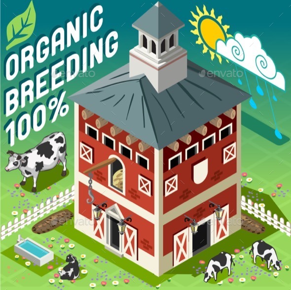 Isometric Cowshed Organic Breeding