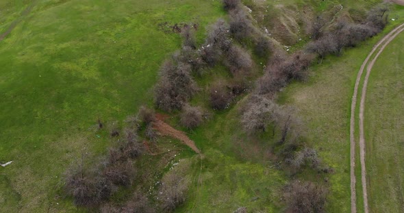 Trash Dumped Down A Hill - Polluted Green Hill - aerial drone shot