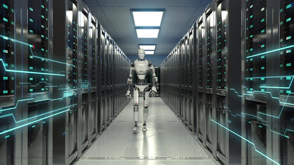Robot Walking in Data Center