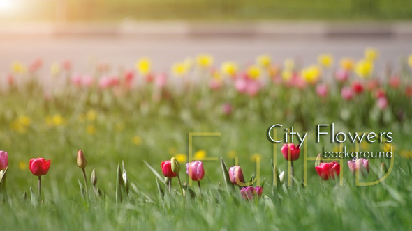 Spring City Flowers