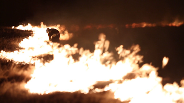 Firefighter Fights Fire