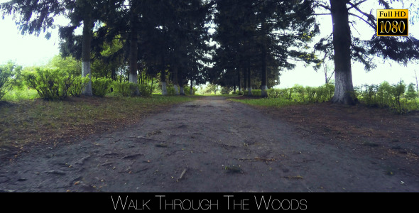 Walk Through The Woods 3
