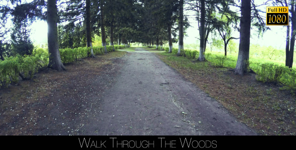 Walk Through The Woods 7