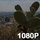 Desertification of Los Angeles - VideoHive Item for Sale