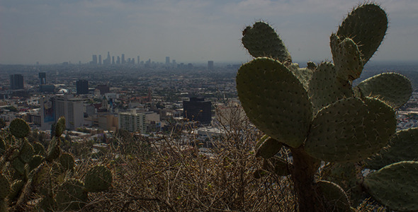 Desertification of Los Angeles