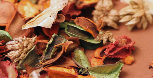 Dry Leaves and Flower 