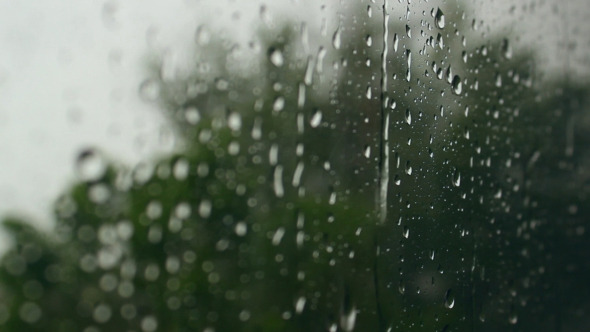 Rain Out of Window