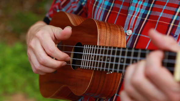 Play Ukulele In Forest