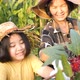 Happy Asian senior farmer and little girl harvesting organic fresh red roselle in the farm. - VideoHive Item for Sale