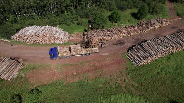 The Deforestation of Siberia Economic and Environmental Problems in Russian Forest Management