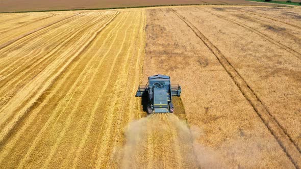 Aerial view of harvester harvesting seed in Poland