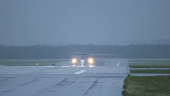 Hare Run Across Runway in Front of Airplane