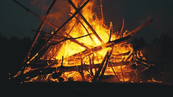 Big Bonfire of the Logs Burns at Night in the Forest