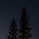 The Stars and Trees - VideoHive Item for Sale