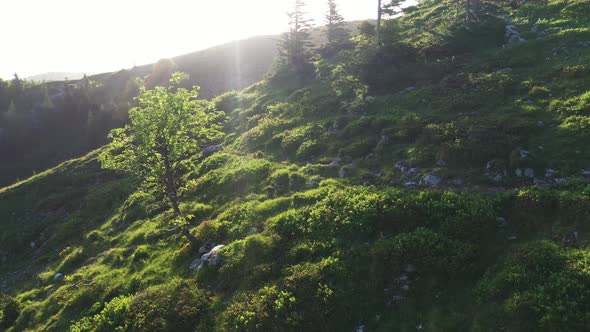 Mountains at sunrise