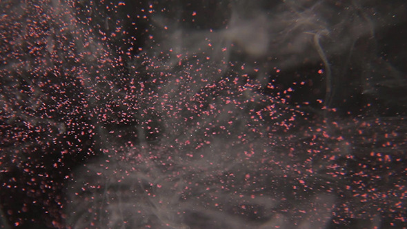 Pink Particles Flow 2