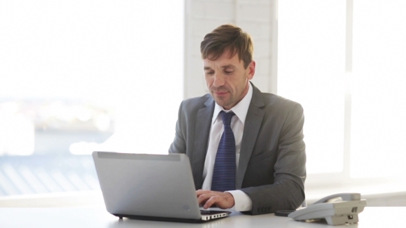 Businessman Working With Laptop Computer