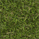 Seamless texture of the lawn grass - 3DOcean Item for Sale