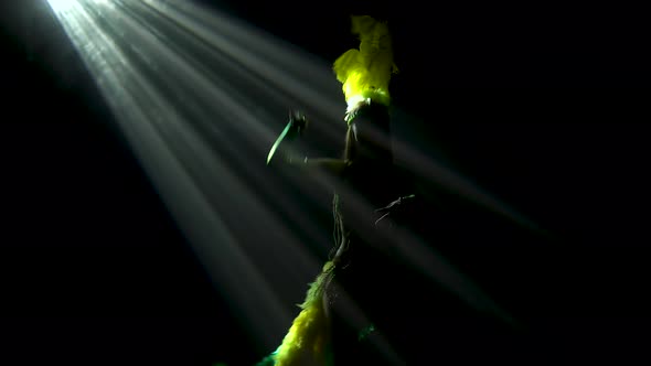 A Dark Silhouette of a Slender Woman in a Revealing Carnival Costume and Headdress with Feathers