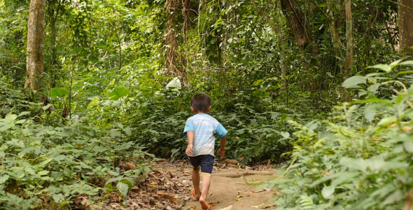Little Boy Walking On Forest Trail