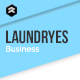 Laundryes - Laundry Business Muse Template - ThemeForest Item for Sale