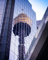 Sydney Tower - PhotoDune Item for Sale