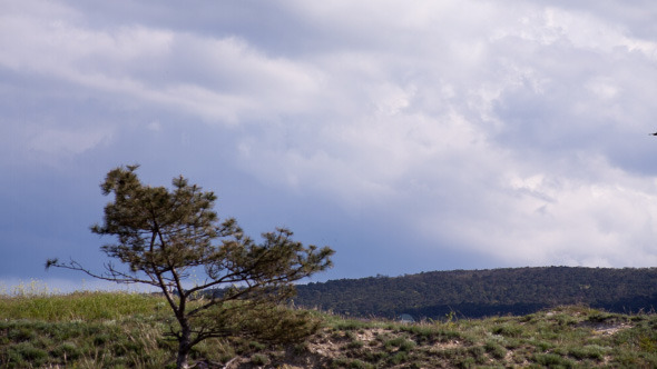 Clouds Over The Valley