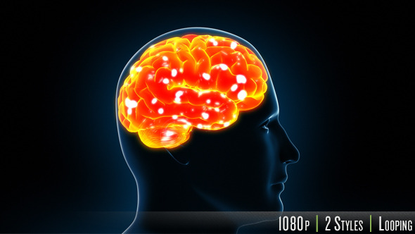 Human Brain X-Ray