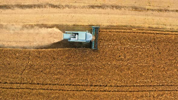 Top view of blue harvester working on field