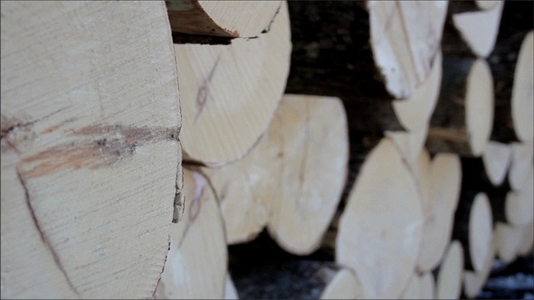 Image of the Wood Ends of the Logs