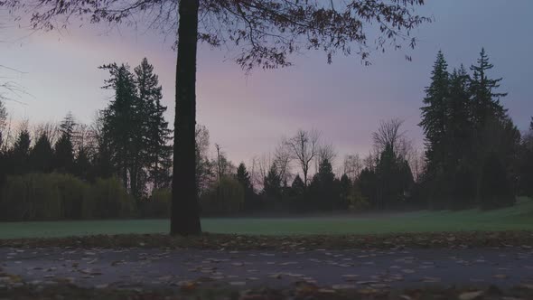 Path in a Park Empty with No People