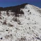 Drone view of wild horses in the mountains on a winter sunny day - VideoHive Item for Sale