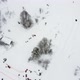 Happy Families Go Down the Hill in a Snowy Winter Park Aerial View From a Drone - VideoHive Item for Sale