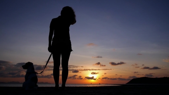 Silhouette Of Young Woman With Dog At Sunset At