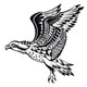 Hand Drawn Eagle - GraphicRiver Item for Sale