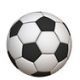 Soccer Football Goal Ovation