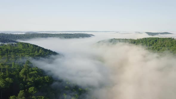 Aerial drone flying forward through green summer forest as warm, white morning fog flows through the