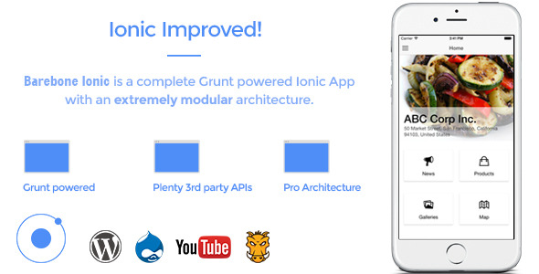 Barebone Ionic - Full Application