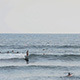 Surfers in the Line-Up - VideoHive Item for Sale