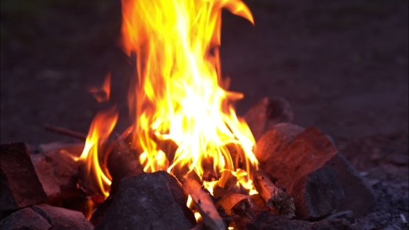 Bonfire, Campfire